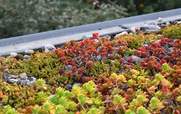 the cost of Staddiscombe green roof installation