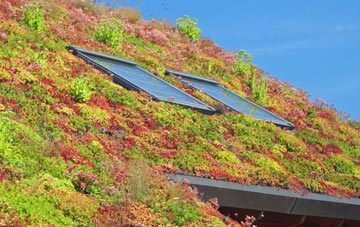 Staddiscombe living roof systems