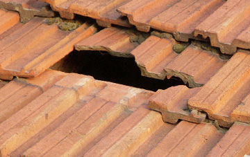 roof repair Staddiscombe, Devon